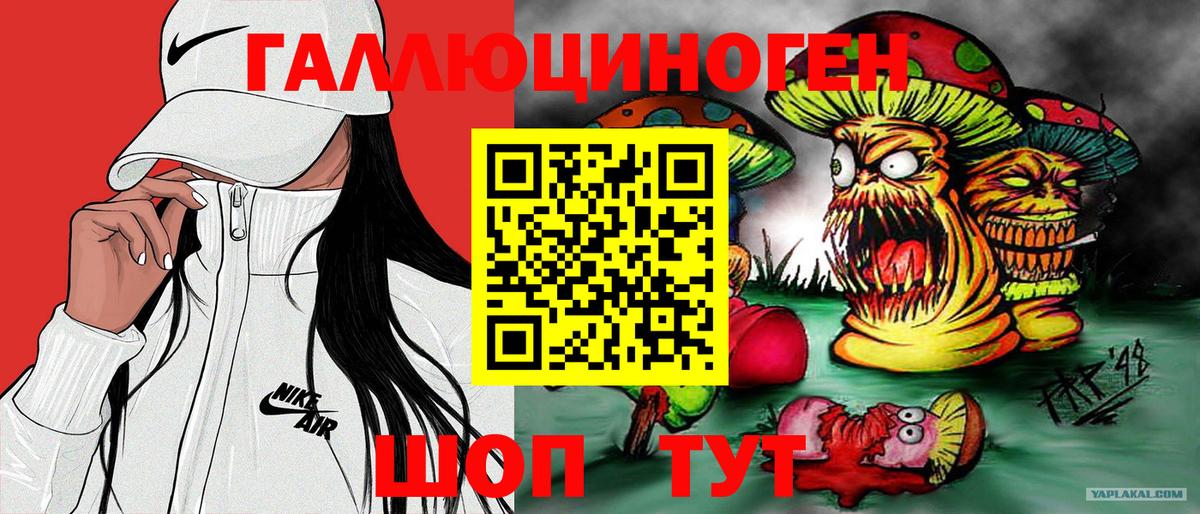 Галлюциногенные грибы MAGIC MUSHROOMS  Вход с VPN  Псилоцибиновые грибы мухоморы  Геленджик 